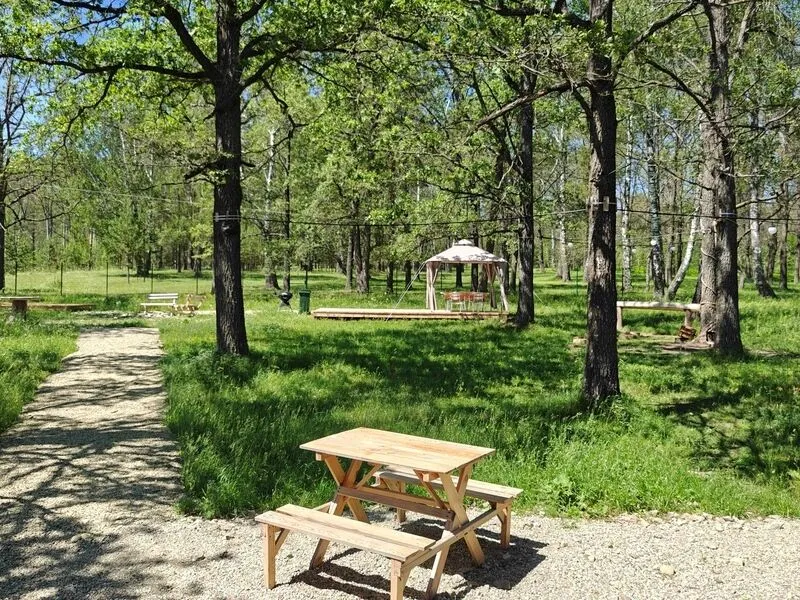 Смородиновский барашек, Ульяновская область: фото 3