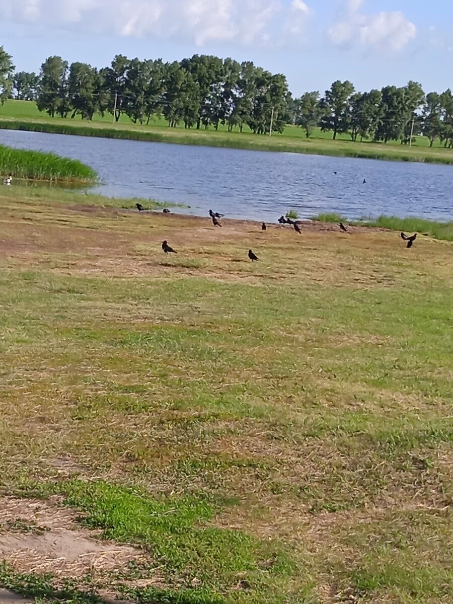 Фото 8 из отзыва о базе отдыха Маяк