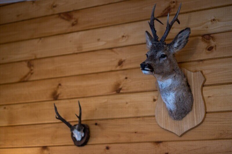 Коттедж 2-местный (Тристан)