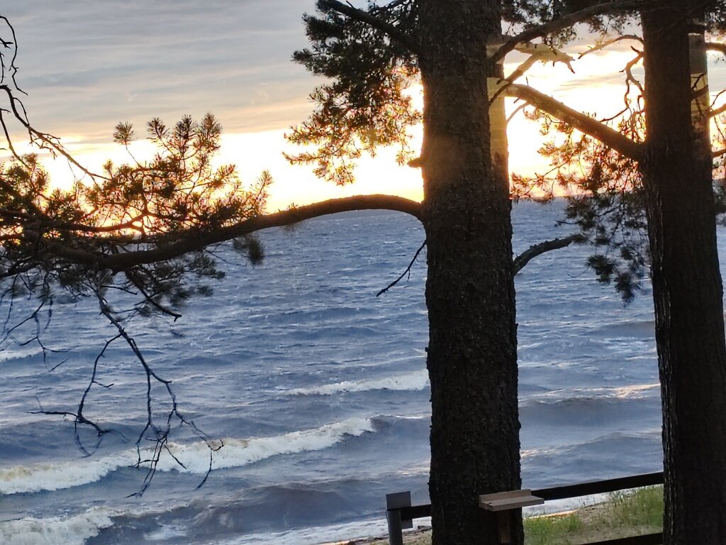 Фото из отзыва от 21.06.2024