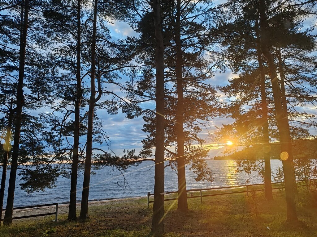 Фото из отзыва от 21.06.2024