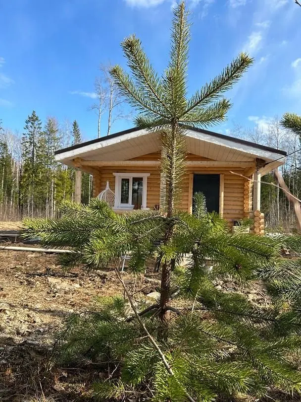 Дом-баня Вихта, Республика Карелия: фото 2
