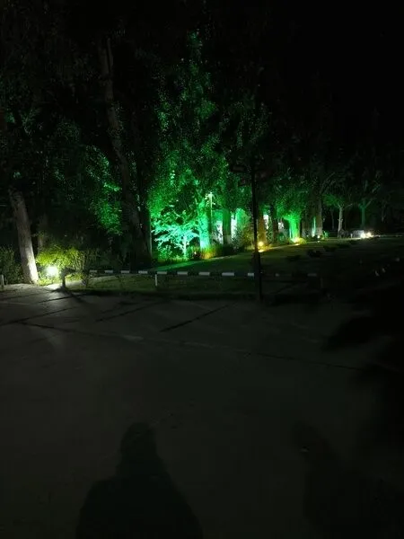 Фото 4 из отзыва о базе отдыха Росинка