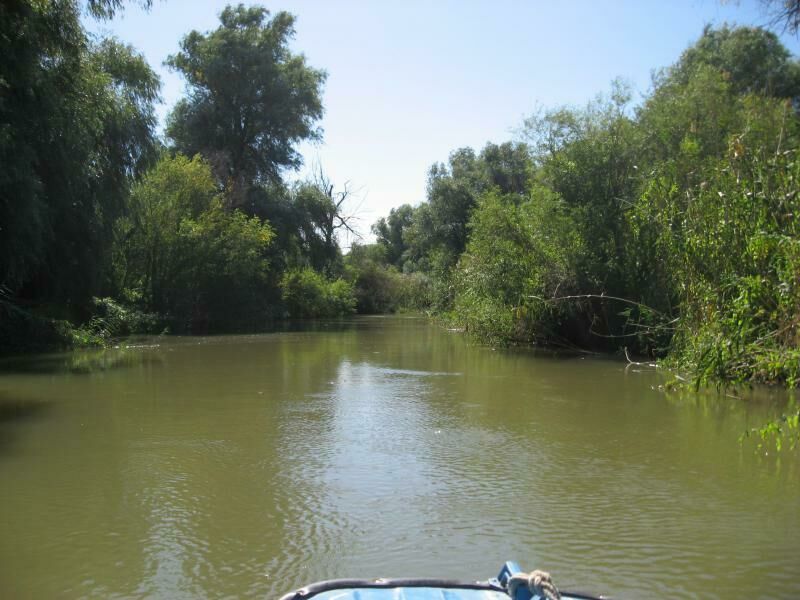 Казачий Дозор, Астраханская область: фото 4
