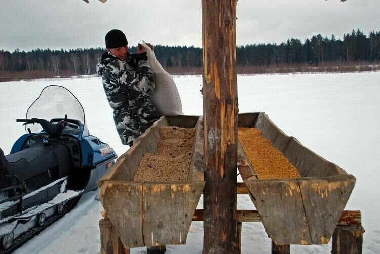 Биосфера, Тверская область: фото 3