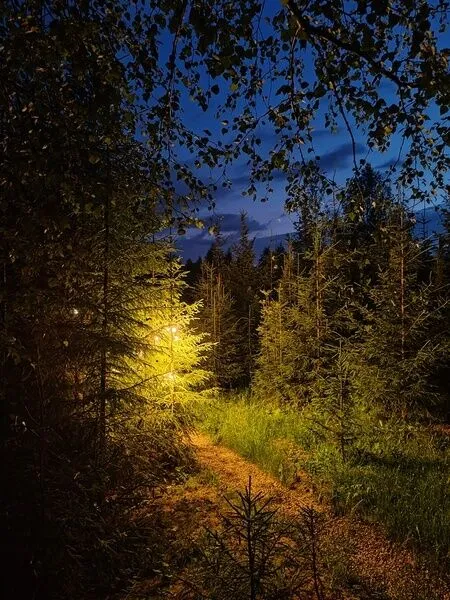 Фото 6 из отзыва о доме в аренду Деревня Йети