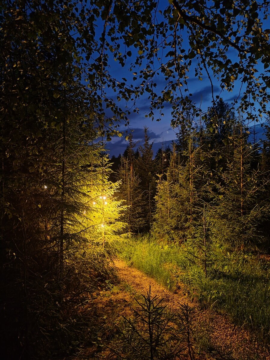 Фото 6 из отзыва о доме в аренду Деревня Йети