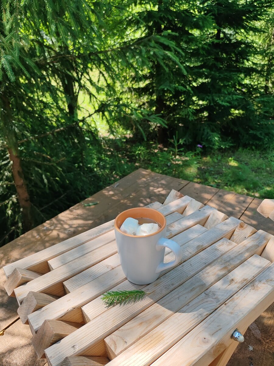 Фото 1 из отзыва о доме в аренду Деревня Йети