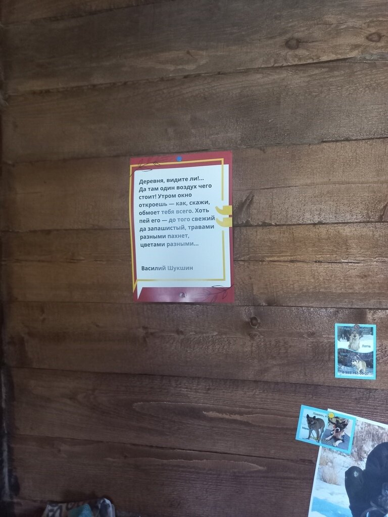 Фото из отзыва от 02.07.2024