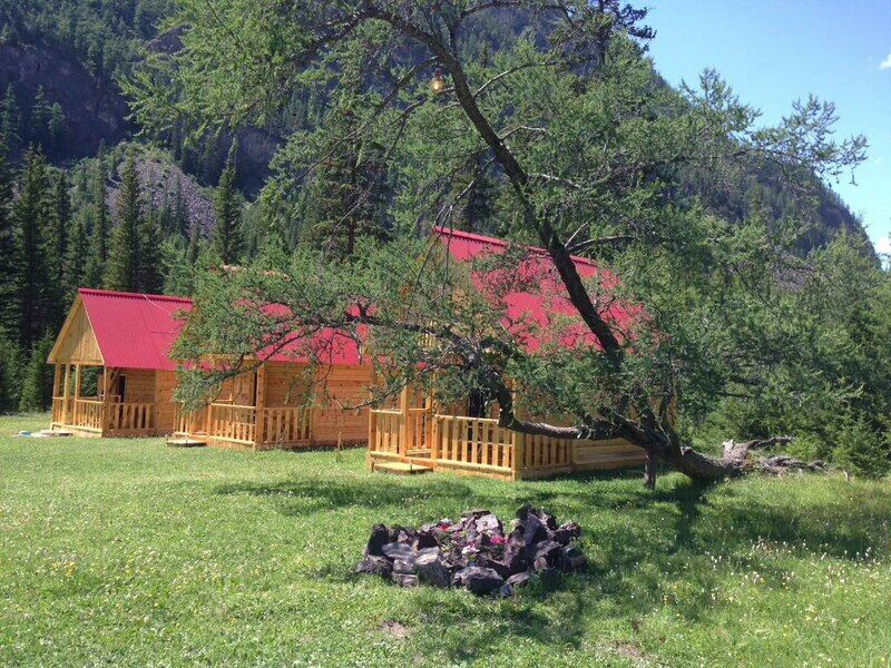 Красный лис, Горный Алтай (Республика Алтай): фото 2