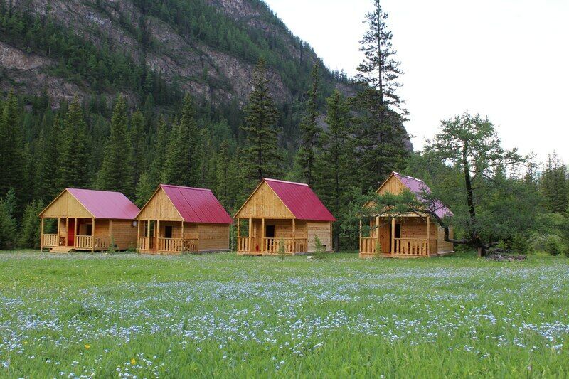 Красный лис, Горный Алтай (Республика Алтай): фото 4