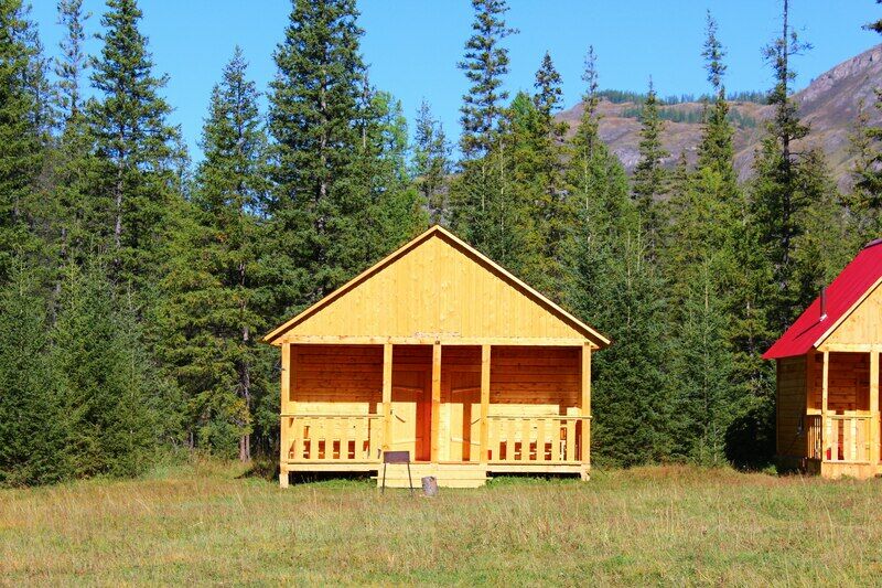 Красный лис, Горный Алтай (Республика Алтай): фото 5