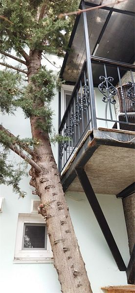 Бунгало Duplex 2-местный 2-комнатный