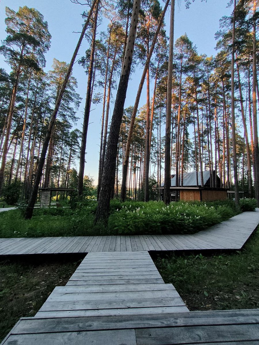 Фото 5 из отзыва о загородном клубе ЛЕС