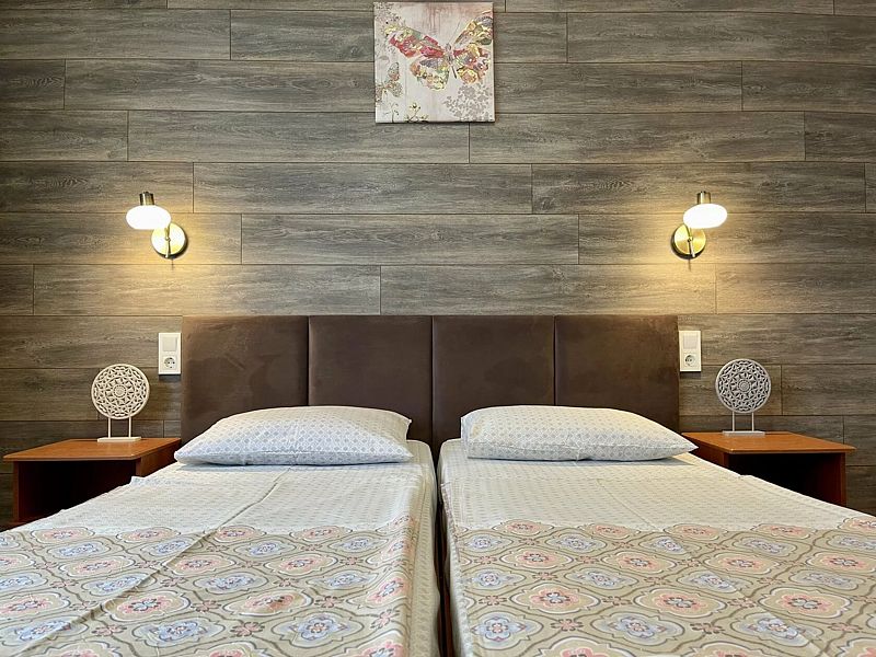 Эконом 2-местный Плюс