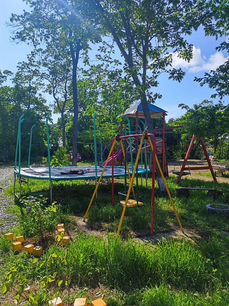 Лесной дворик, Приморский край: фото 3