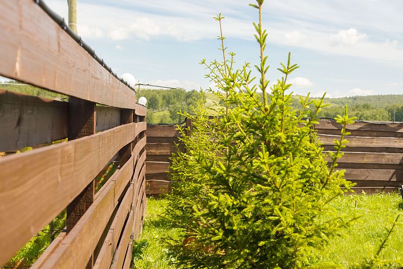 Домик 4-местный (Желание)