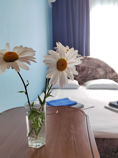 Эконом 4-местный Улучшенный