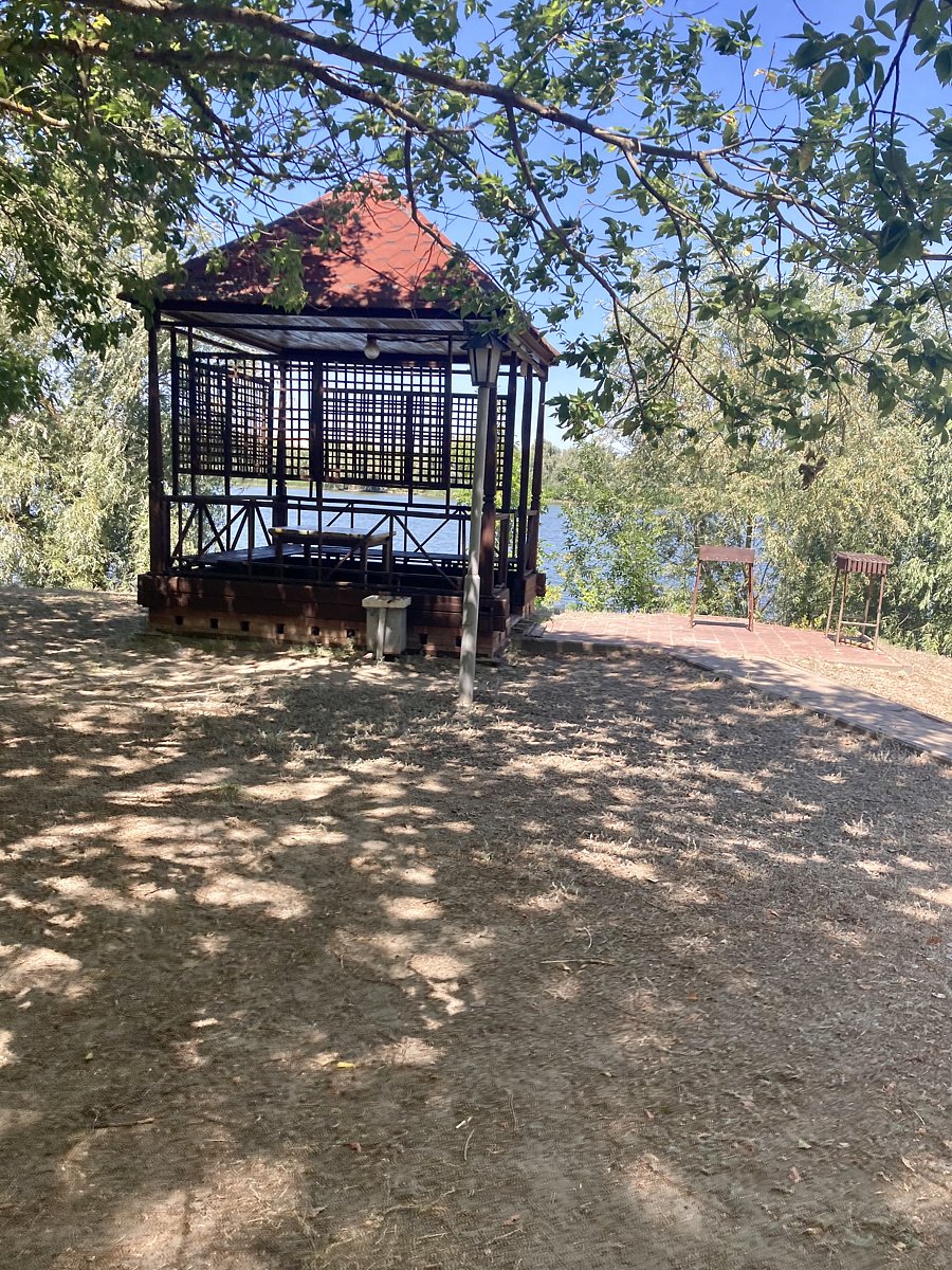 Фото 24 из отзыва о базе отдыха Дон