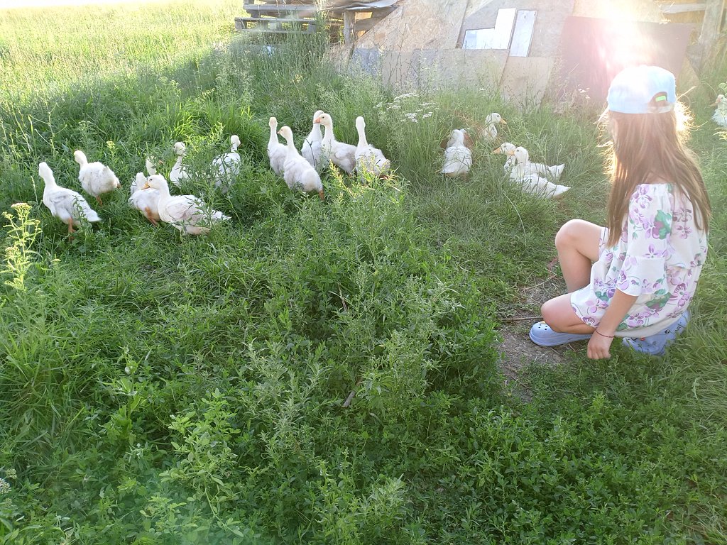 Фото из отзыва от 13.07.2024