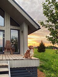 База отдыха Родионова дача 