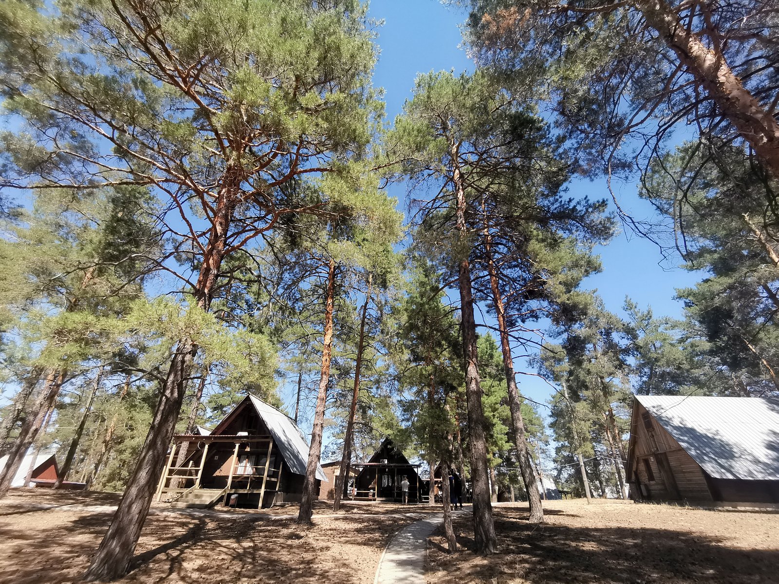 Фото 29 из отзыва о базе отдыха Место отдыха Берлога