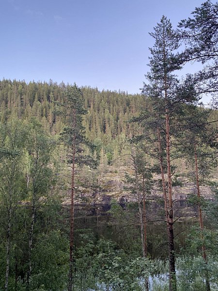 Фото 5 из отзыва о гостевом доме Sumeria House Karelia