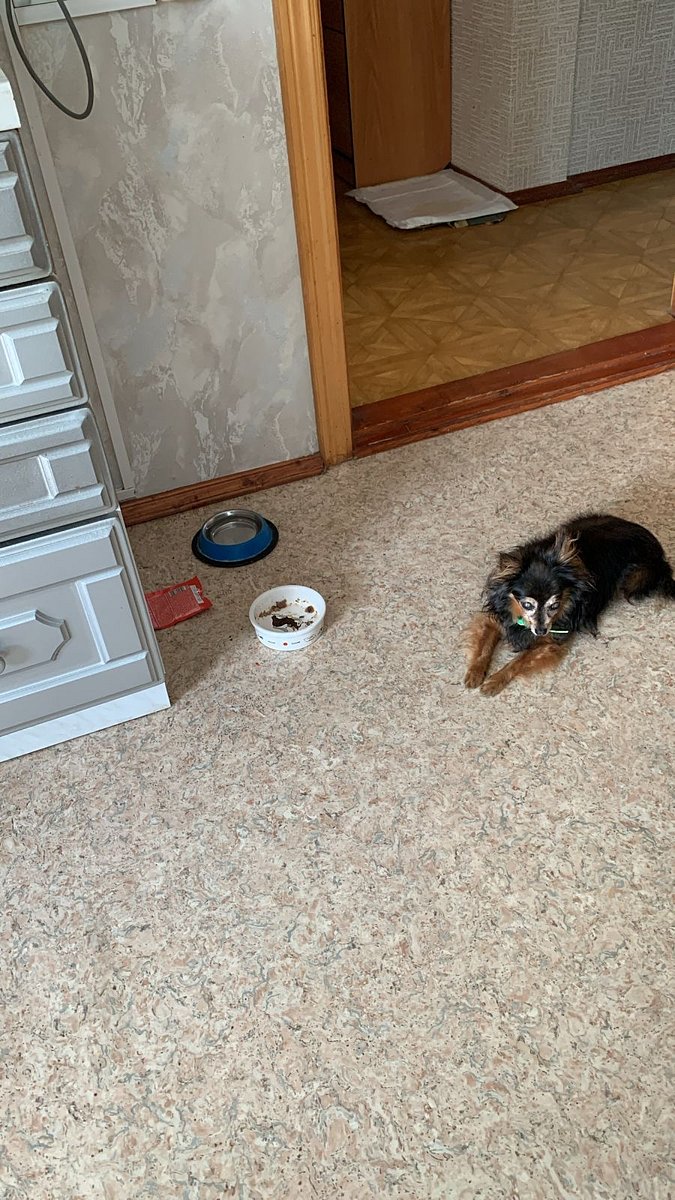 Фото 18 из отзыва о коттеджном комплексе Светозар