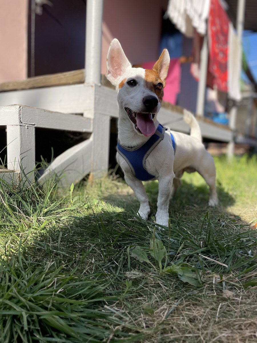 Фото 15 из отзыва о базе отдыха Тихая лагуна