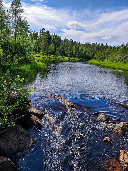 Хутор Уома, Республика Карелия: фото 5