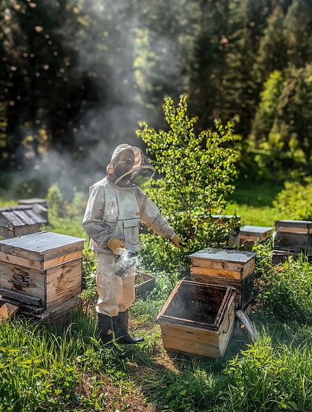 Затерянный КуМир. Уединенный отдых в горах Алтая, Алтайский край: фото 5