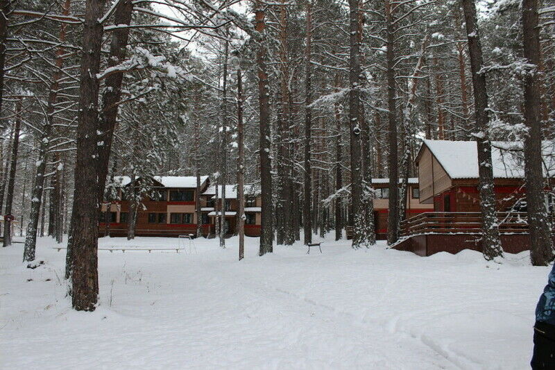 Брусника, Красноярский край: фото 2