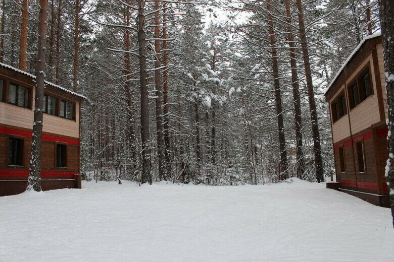 Брусника, Красноярский край: фото 3