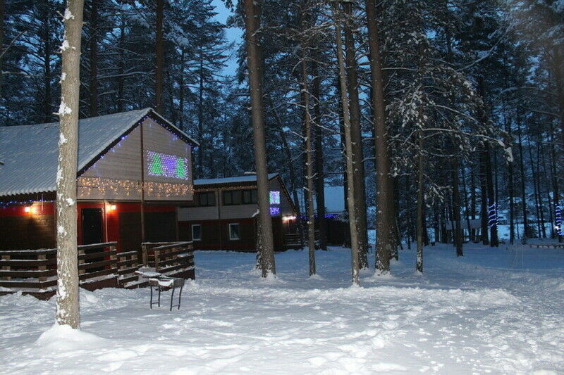 Брусника, Красноярский край: фото 5