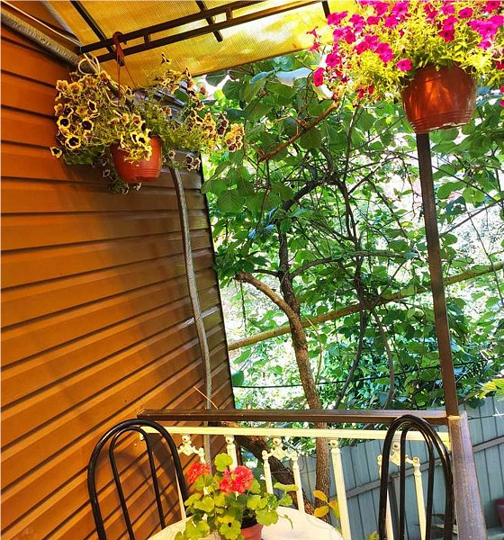 Домик 4-местный (с верандой)