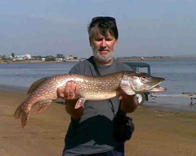 База отдыха Камские просторы, Республика Татарстан Камское Устье