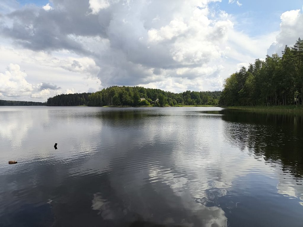 Фото из отзыва от 27.07.2024