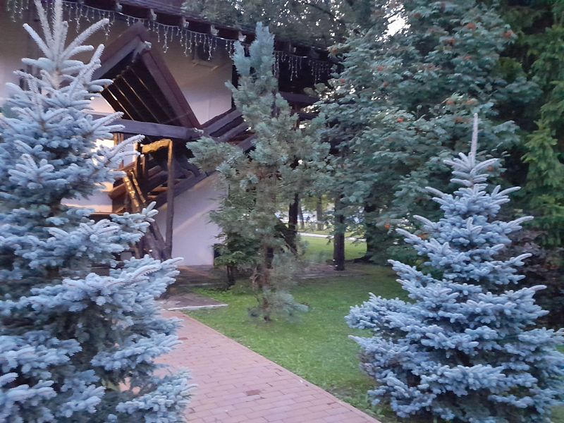 Фото 7 из отзыва о парк-отеле Фестиваль