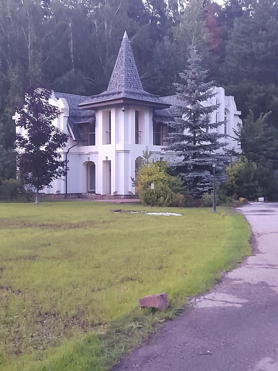 Фото 19 из отзыва о парк-отеле Фестиваль