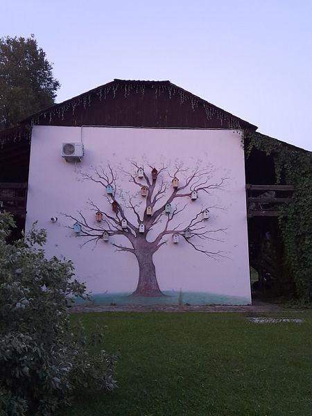 Фото 15 из отзыва о парк-отеле Фестиваль