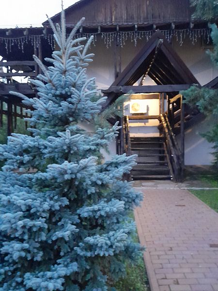 Фото 16 из отзыва о парк-отеле Фестиваль