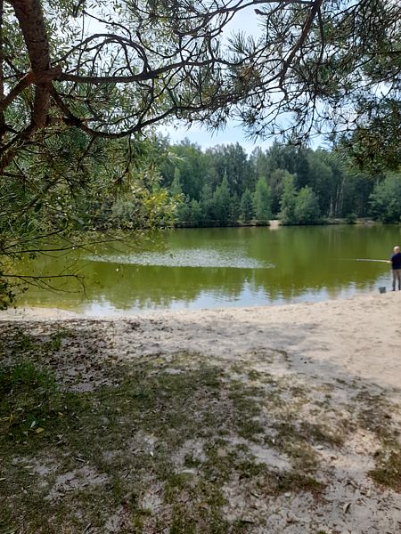 Фото 1 из отзыва о парк-отеле Фестиваль