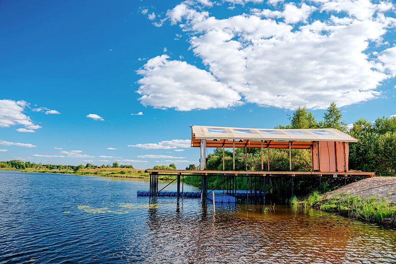 Носороги, Тверская область: фото 2