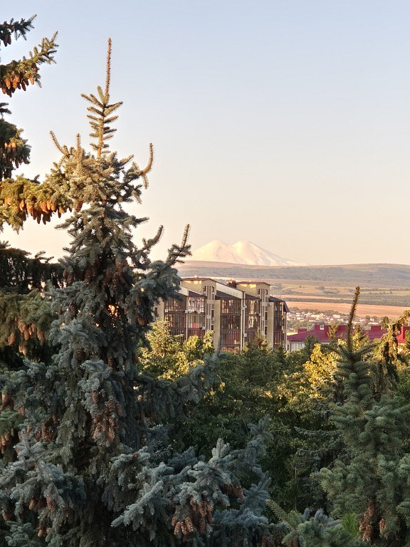 Фото из отзыва от 21.07.2024