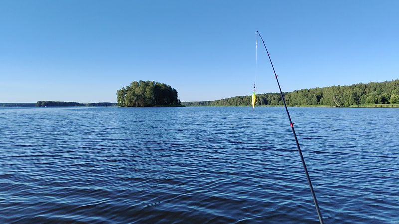 Фото 5 из отзыва о базе отдыха Константа