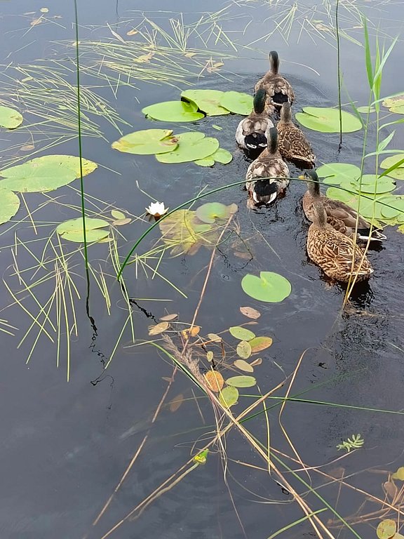 Фото из отзыва от 29.07.2024