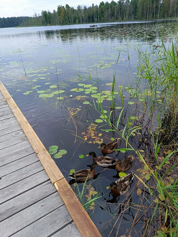 Фото из отзыва от 29.07.2024