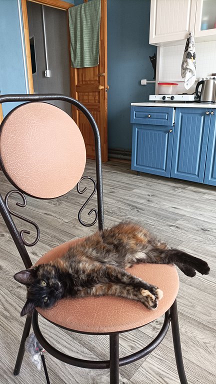 Фото из отзыва от 29.07.2024