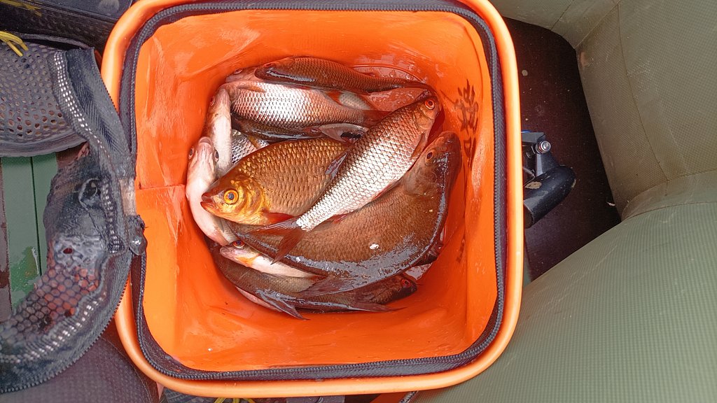 Фото из отзыва от 29.07.2024