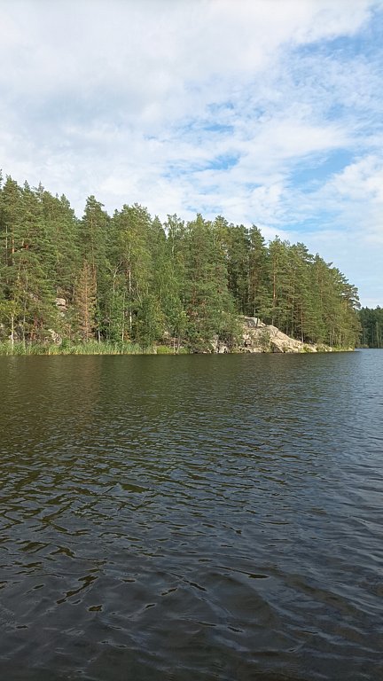 Фото из отзыва от 29.07.2024